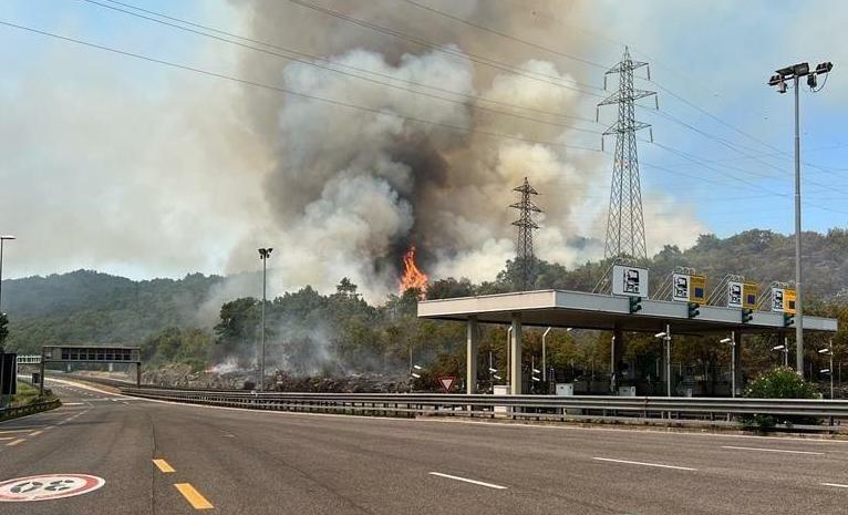 Immagine per La memoria dell'incendio sul Carso in un libro, la presentazione ad Aurisina